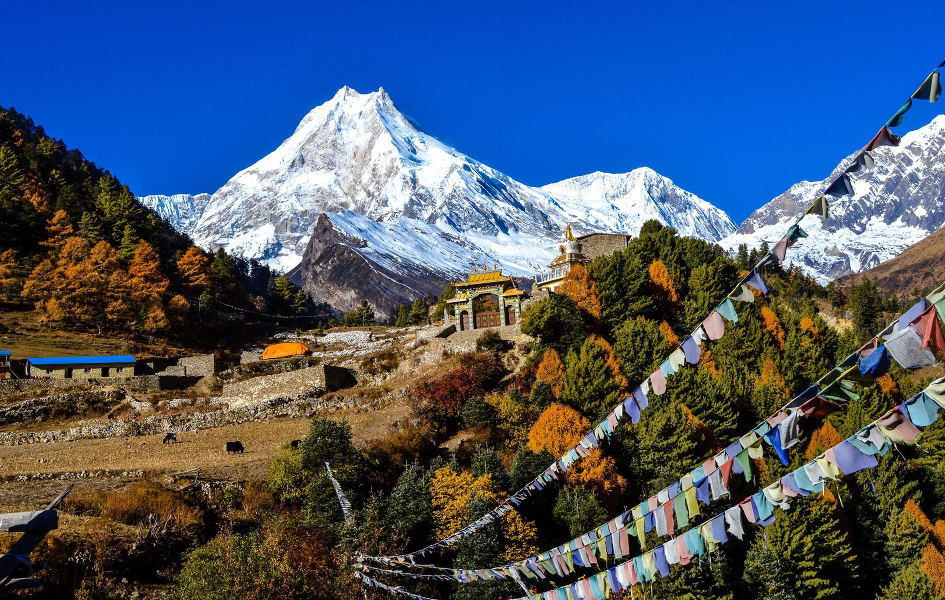 Manasalu Circuit Trek